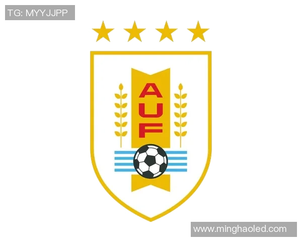 乌拉圭国家足球队球星的辉煌历程与未来展望分析